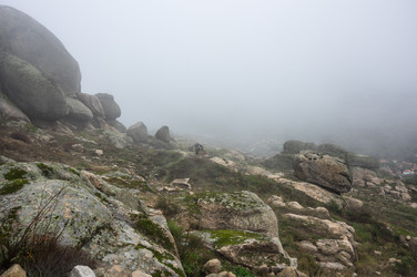 Similar image 22372119