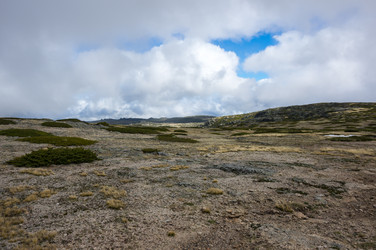 Similar image 22372254