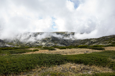 Similar image 22372269