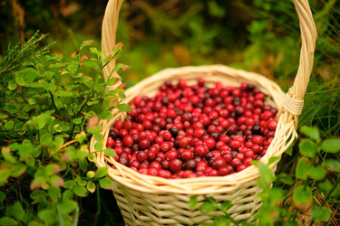 Similar image 22357289