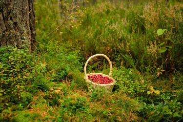 Similar image 22349595