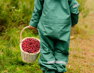 Similar image 22349597