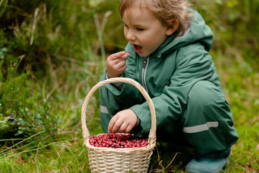 Similar image 22350449