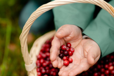 Similar image 22350450