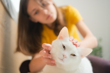 Similar image 22350832