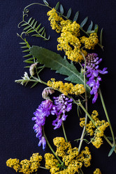 Similar image 22354936