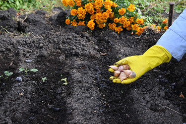 Similar image 22354940