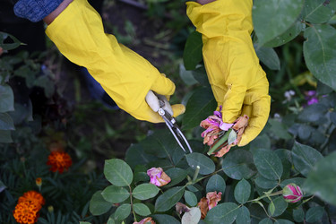 Similar image 22354942