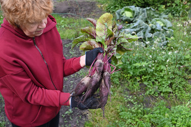 Similar image 22354943