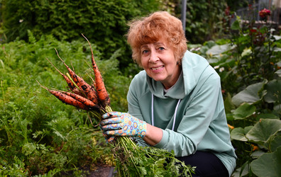 Similar image 22354952