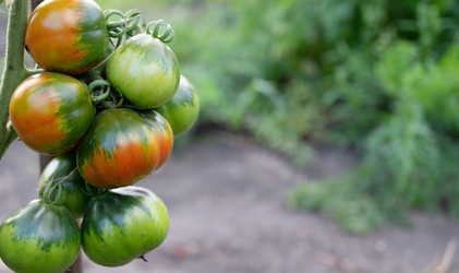 Similar image 22354953