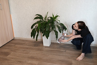 Similar image 22354955