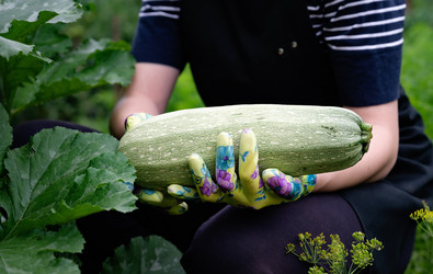 Similar image 22354958