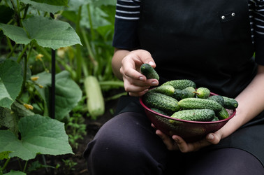 Similar image 22354959