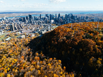 Similar image 22373010