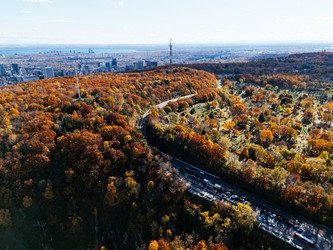 Similar image 22373011