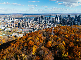 Similar image 22373013