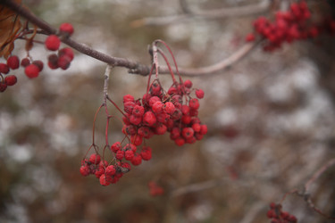 Similar image 22349616