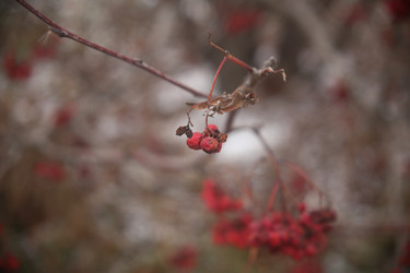 Similar image 22349617