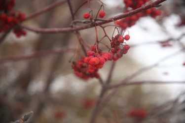 Similar image 22349618