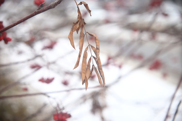 Similar image 22349619