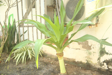 Similar image 22349621