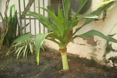 Similar image 22349622