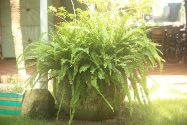 Similar image 22349623