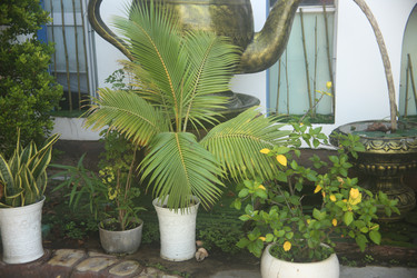 Similar image 22349624