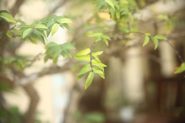 Similar image 22349626