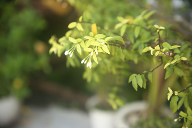 Similar image 22349627