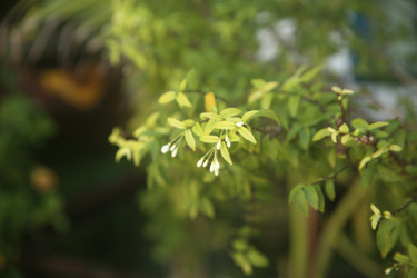 Similar image 22349629