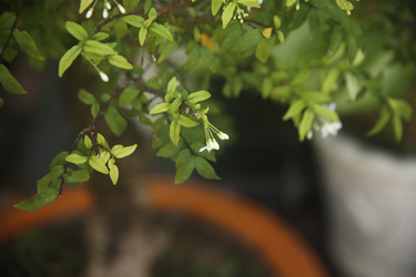 Similar image 22349631