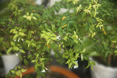 Similar image 22349632