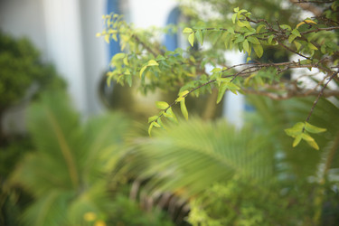 Similar image 22349633