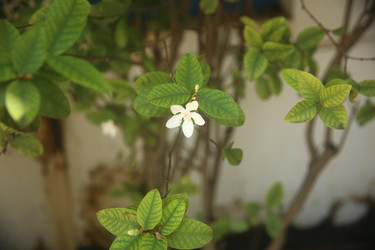 Similar image 22349634