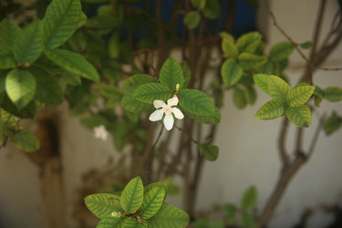 Similar image 22349636