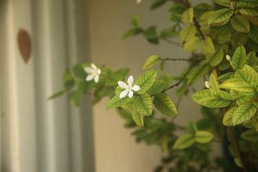 Similar image 22349637