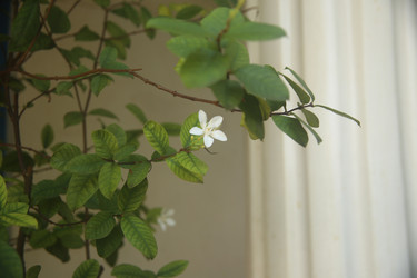 Similar image 22349639