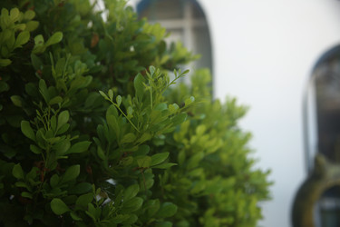 Similar image 22349640