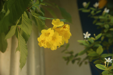 Similar image 22349642