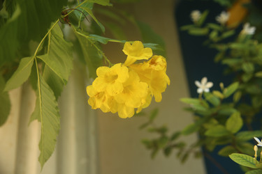 Similar image 22349643