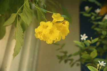 Similar image 22349644