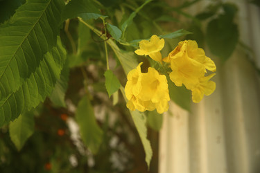 Similar image 22349645