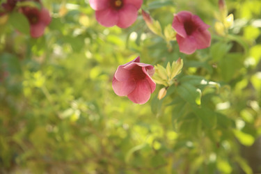 Similar image 22349646