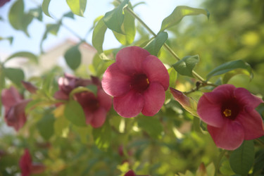 Similar image 22349648