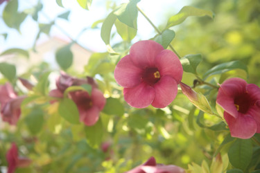 Similar image 22349649