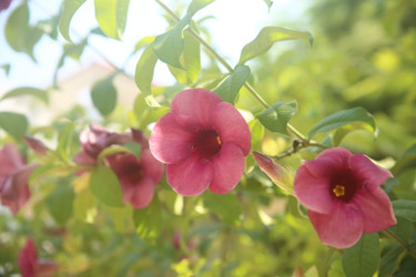 Similar image 22349650