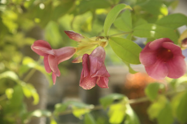 Similar image 22349652