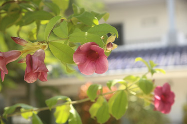 Similar image 22349655